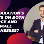 How Taxation’s effects on both large and small businesses?